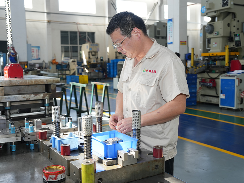 Perfezione da stampa in alluminio - Formazione di precisione di parti di stampaggio in alluminio